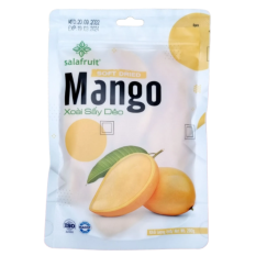 Dried Mango 100 g | Salafruit